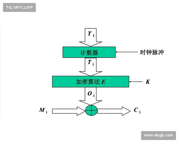 高效燃脂与增肌并行的HIIT训练方法及其科学原理解析 高效燃脂与增肌并行的HIIT训练方法及其科学原理解析